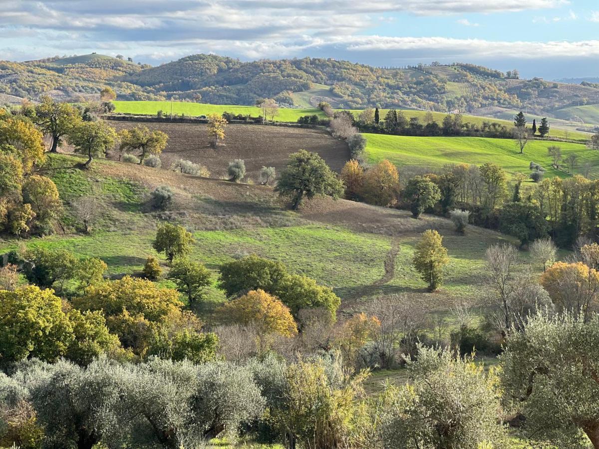 Bed and Breakfast Casale Terre Rosse Saturnia Exteriér fotografie