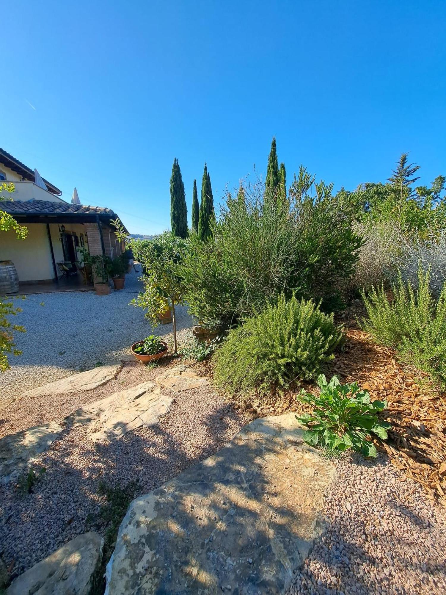 Bed and Breakfast Casale Terre Rosse Saturnia Exteriér fotografie
