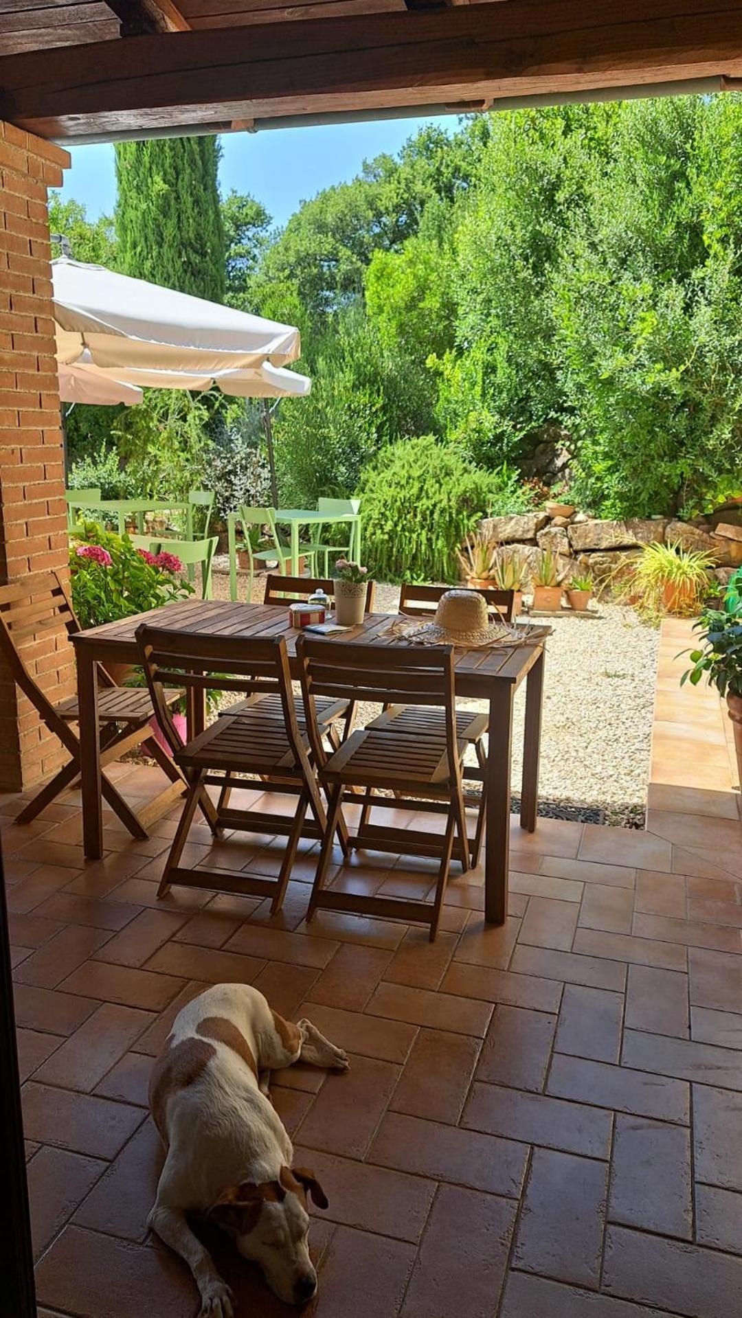 Bed and Breakfast Casale Terre Rosse Saturnia Exteriér fotografie