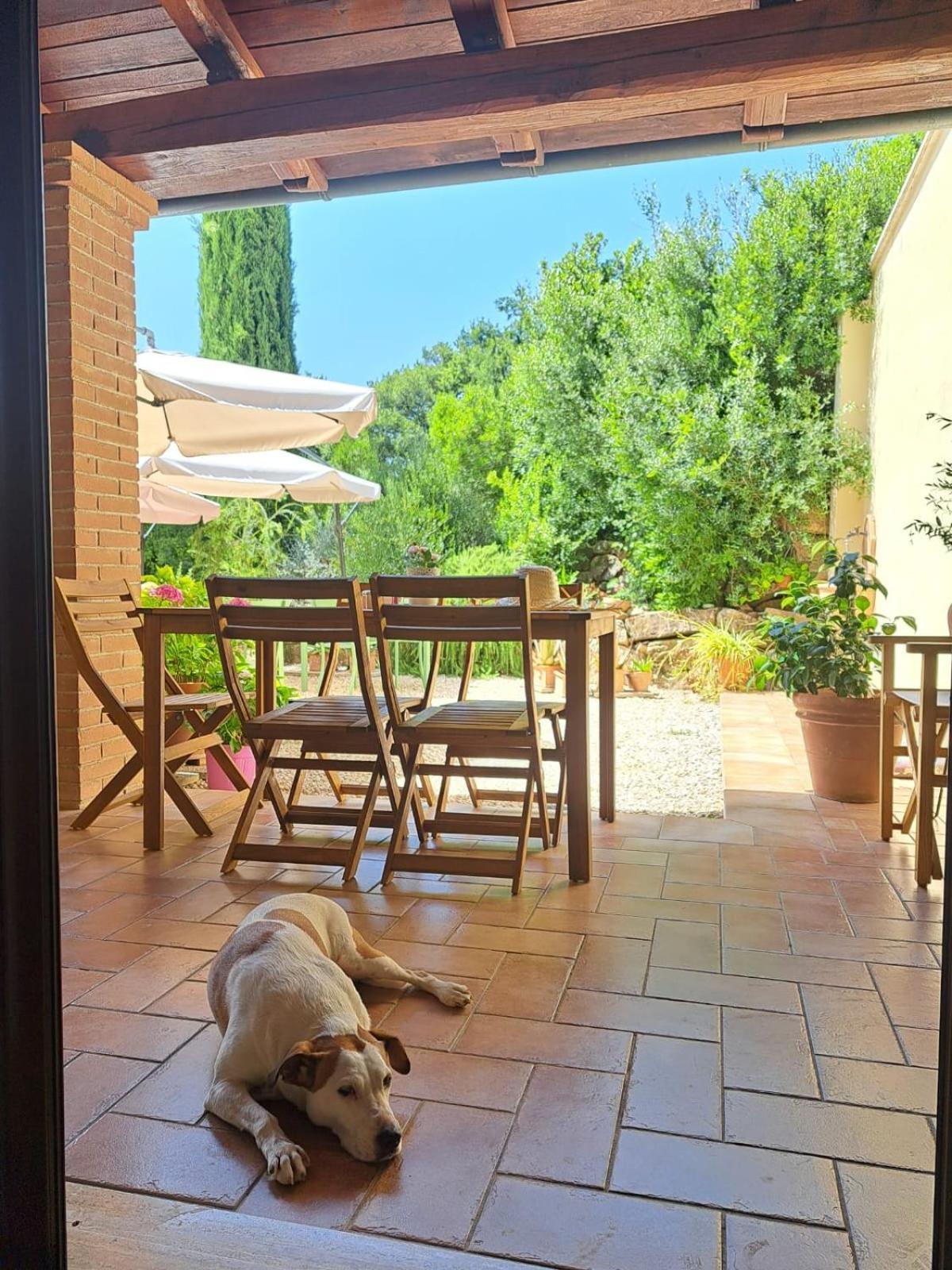 Bed and Breakfast Casale Terre Rosse Saturnia Exteriér fotografie