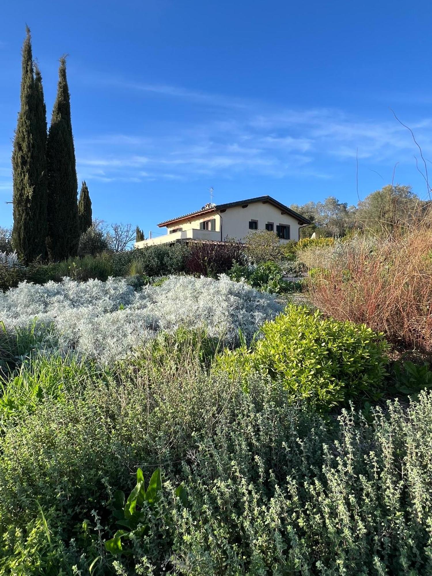 Bed and Breakfast Casale Terre Rosse Saturnia Exteriér fotografie