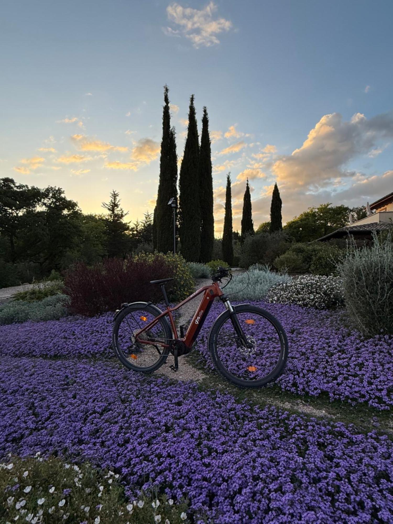 Bed and Breakfast Casale Terre Rosse Saturnia Exteriér fotografie