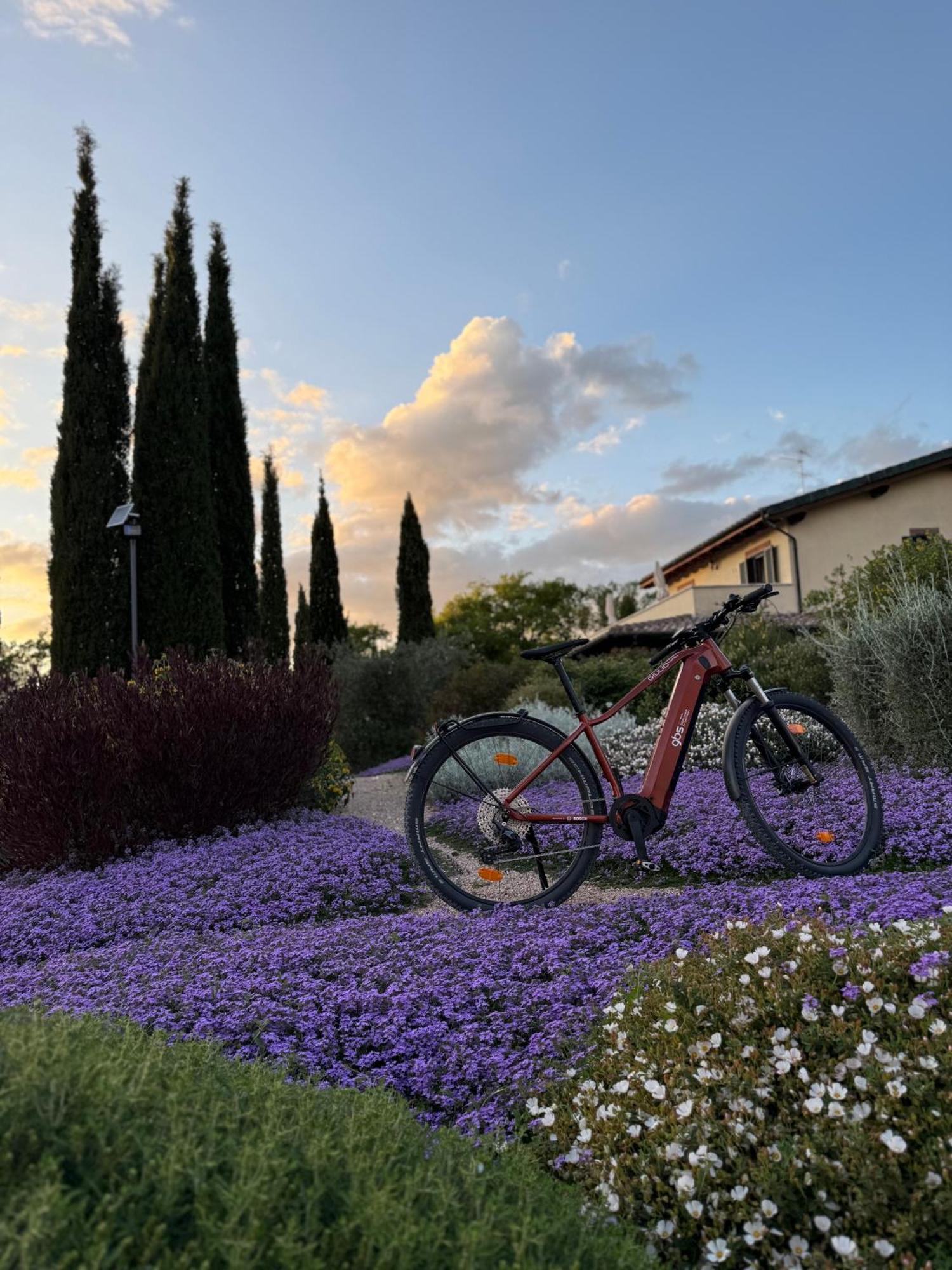 Bed and Breakfast Casale Terre Rosse Saturnia Exteriér fotografie